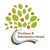 Logo_72ppp