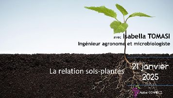 Sol-plantes